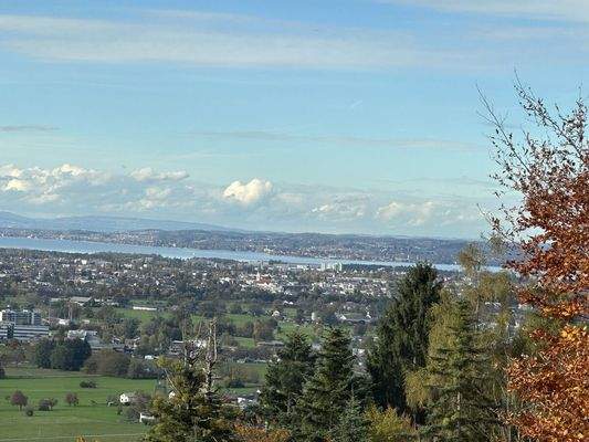 Aussicht von der Terrasse