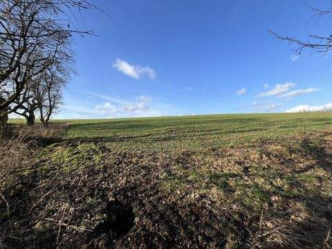 Extertal-Bösingfeld Grundstücke, Extertal-Bösingfeld Grundstück kaufen