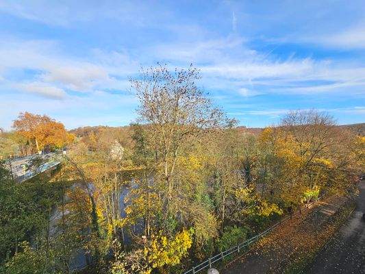 Ausblick vom Wintergarten