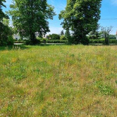 Baugrundstück Bild 2