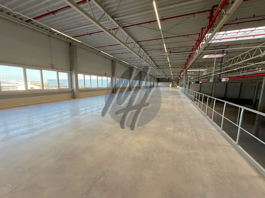 INFOS UNTER: 06171-586000