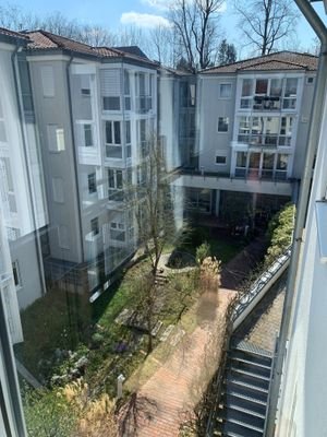 Blick in Garten