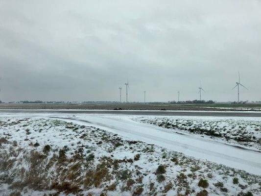 Blick aus Wohnung 2 OG