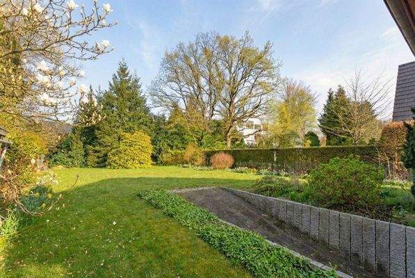 Frühlingserwachen-KI