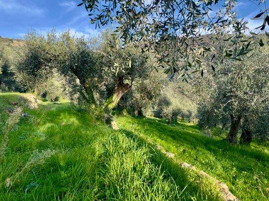 DA1013_06 TERRA ITALIA IMMOBILIEN_REAL ESTATE_FOR 