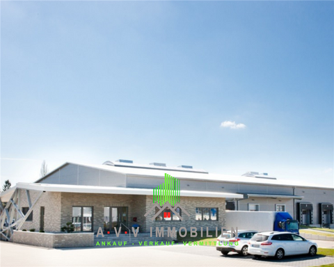 Saterland Halle, Saterland Hallenfläche