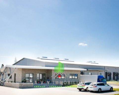 Saterland Halle, Saterland Hallenfläche