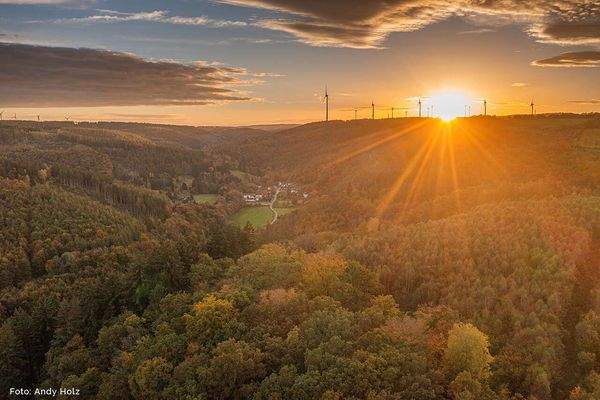 Immobilien-Hürtgenwald-Land-Kaufen-DC577-umgebung