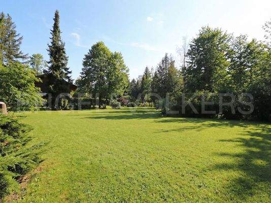 Grundstück vorne mit Altbestand, KI-bearbeitet