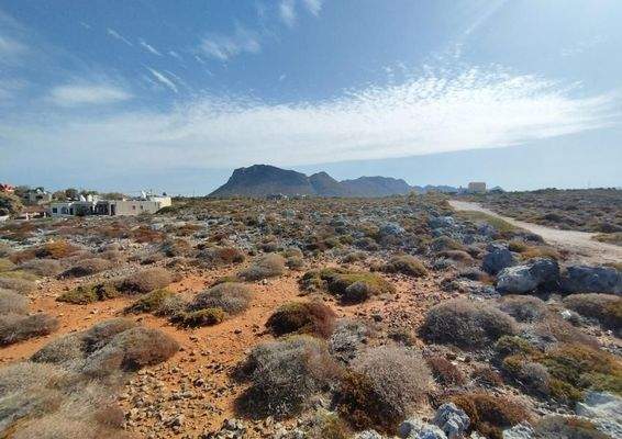 Kreta, Stavros: Grundstücke direkt am Meer mit Blick auf den Sonnenuntergang zu verkaufen