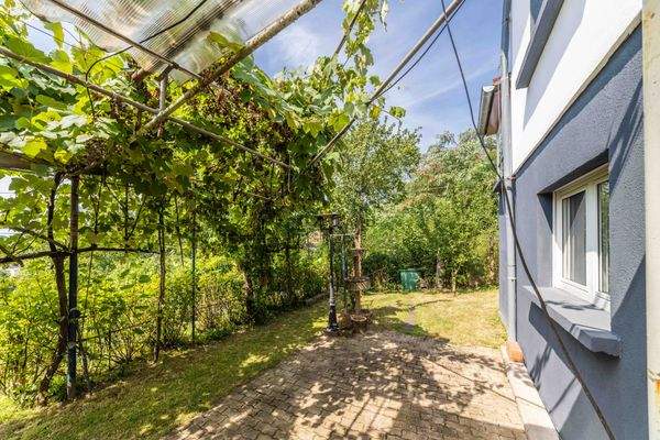 26 août 2025-14135C9A9765.jpg