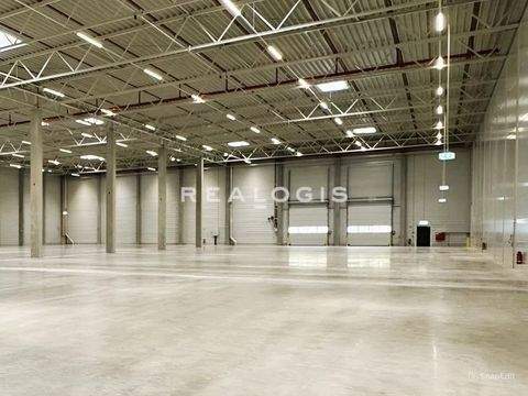 Erding Halle, Erding Hallenfläche