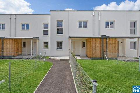 Wiener Neustadt Häuser, Wiener Neustadt Haus kaufen