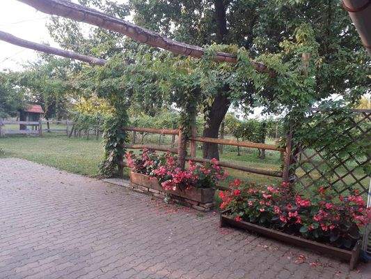 429861633_1152919132810833_5668062935425570702_n.j