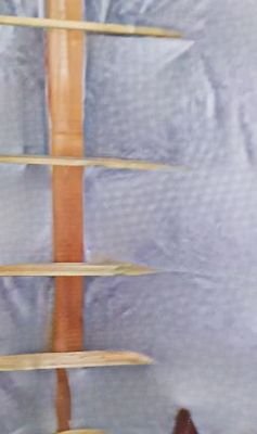 isoliertes Dach und 20 m² Ntzfl
