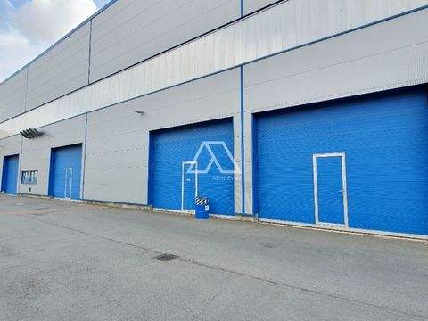 Halle Halle, Halle Hallenfläche