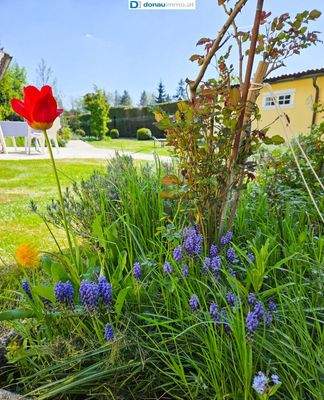 Großzügiges Haus mit Garten im Waldviertel