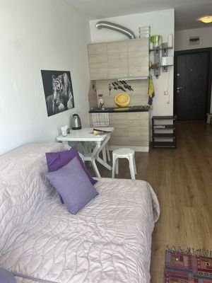 ID 12541 Studio-Apartment in Sunny View South