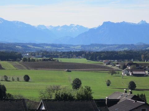 Seeham Häuser, Seeham Haus kaufen