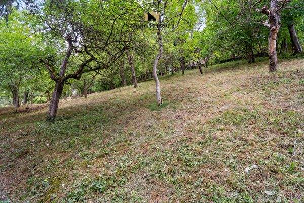 Südhanglage mit Potenzial