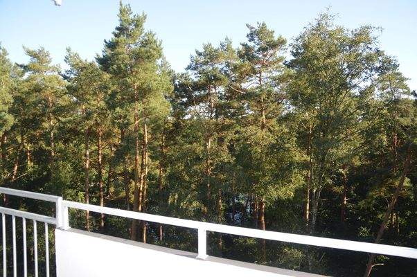 Blick vom Balkon in die Natur