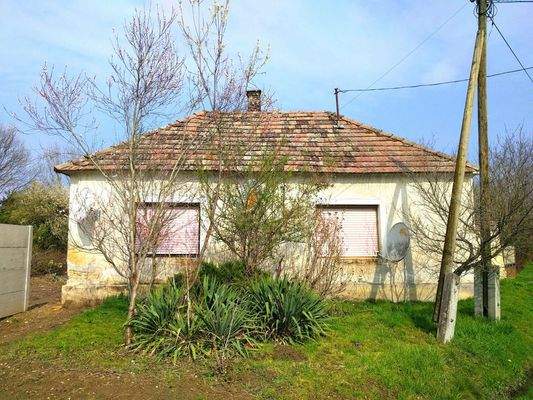 IMG_20250326_102905 (1).jpg