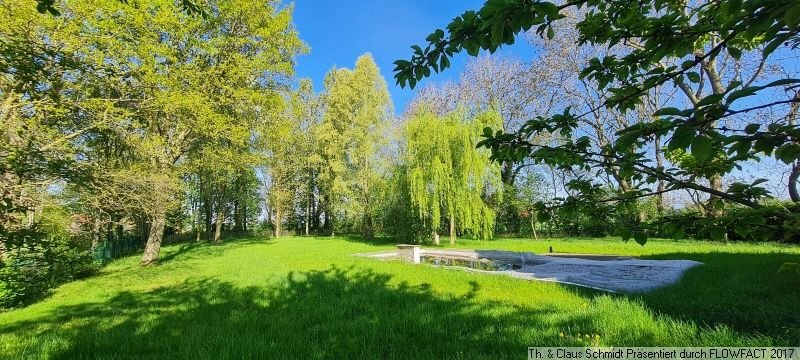 Blick in den Garten