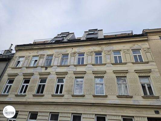 Wohnung - NESTOR Immobilien