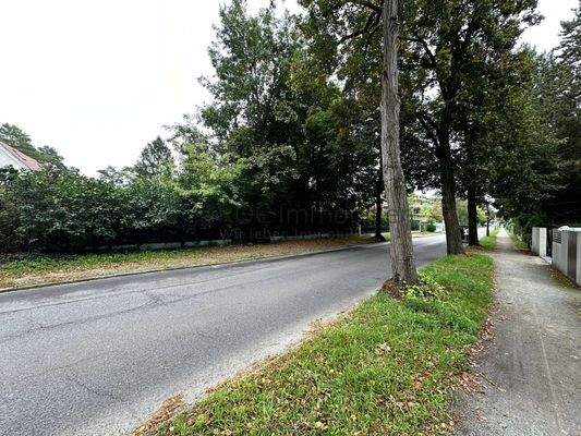 Straßenansicht Richtung Süden