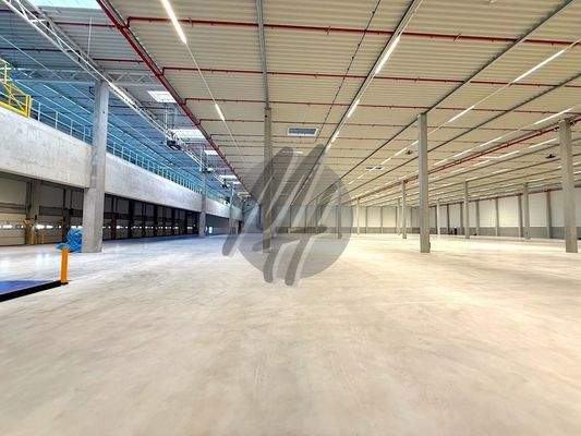 INFOS UNTER: 06171-586000