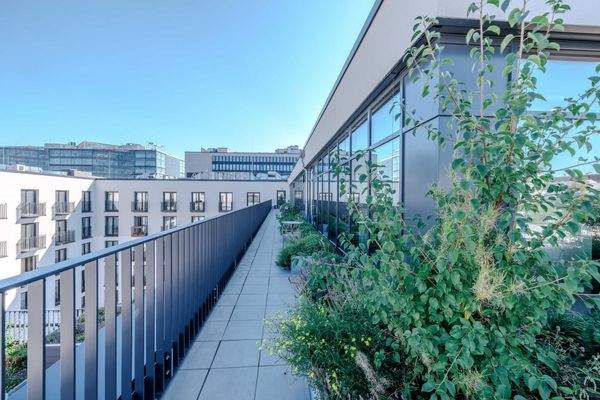 Außenansicht/Terrasse