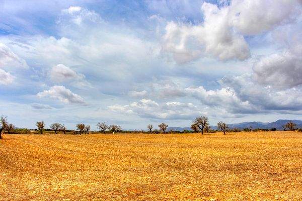 Zu-verkaufen-fantastische-Finca-in-sehr-ruhiger-Lage-bei-Costitx-Inca