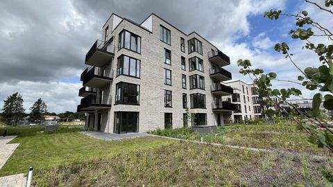 Geesthacht Wohnungen, Geesthacht Wohnung mieten