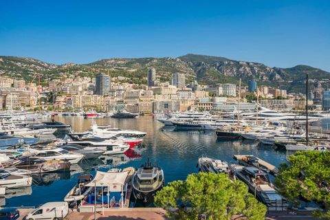 Monaco Wohnungen, Monaco Wohnung kaufen