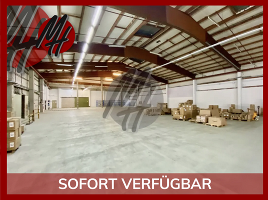 INFOS UNTER: 06171-586000