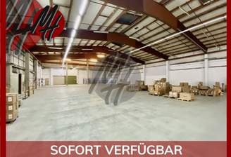 INFOS UNTER: 06171-586000