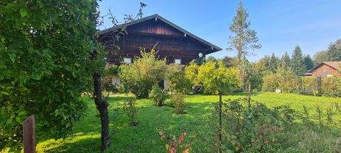 Laufen Häuser, Laufen Haus kaufen