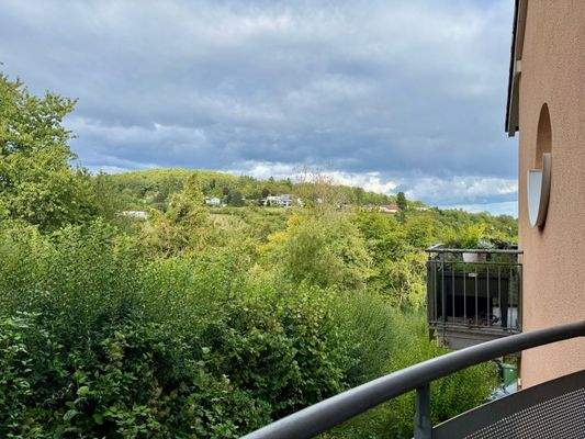 Ausblick vom Küchenbalkon