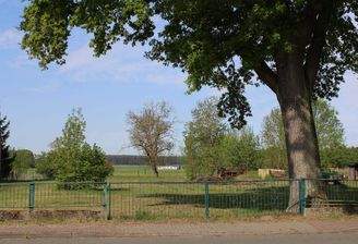 Grundstücksansicht Strasse