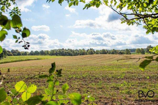 Ihr Haus in idyllischer Feldrandlage