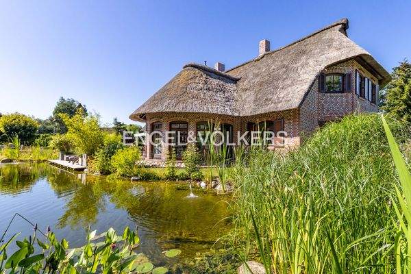 Blick über den 20 Meter langen Schwimmteich