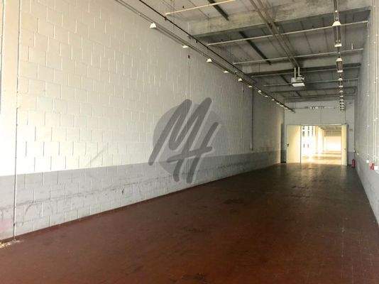 INFOS UNTER: 06171-586000