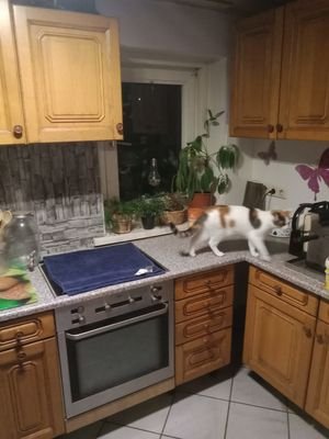 Küche