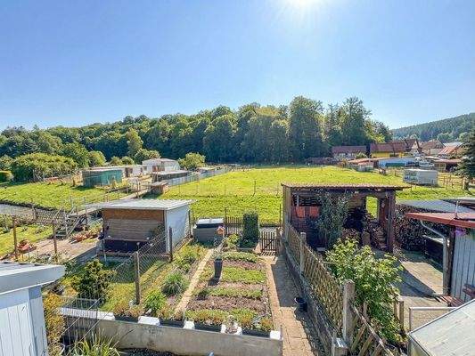 Blick in den Garten mit Gewächshaus