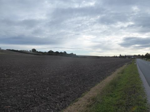 Gmkg. Schauerheim und Birkenfeld Bauernhöfe, Landwirtschaft, Gmkg. Schauerheim und Birkenfeld Forstwirtschaft