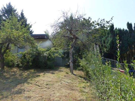 Blick zum Gartenhaus 