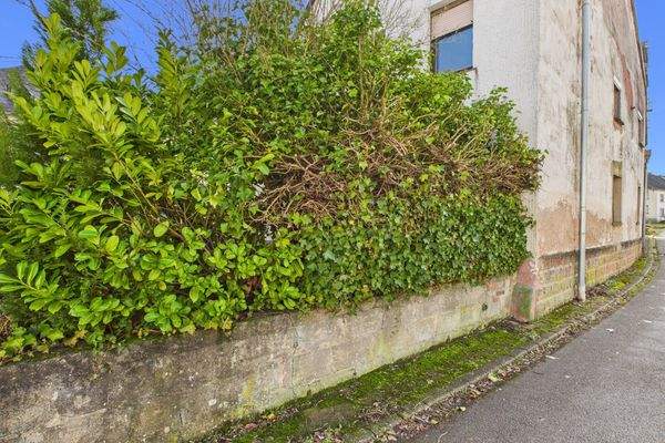 54317 Osburg – Oberstraße 16