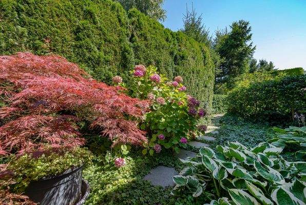 Gartendetail hinter dem Haus