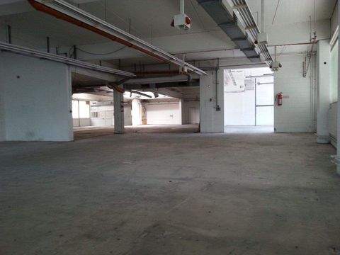 Marktrodach Halle, Marktrodach Hallenfläche