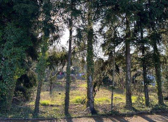 Ost-Blick von der Straße